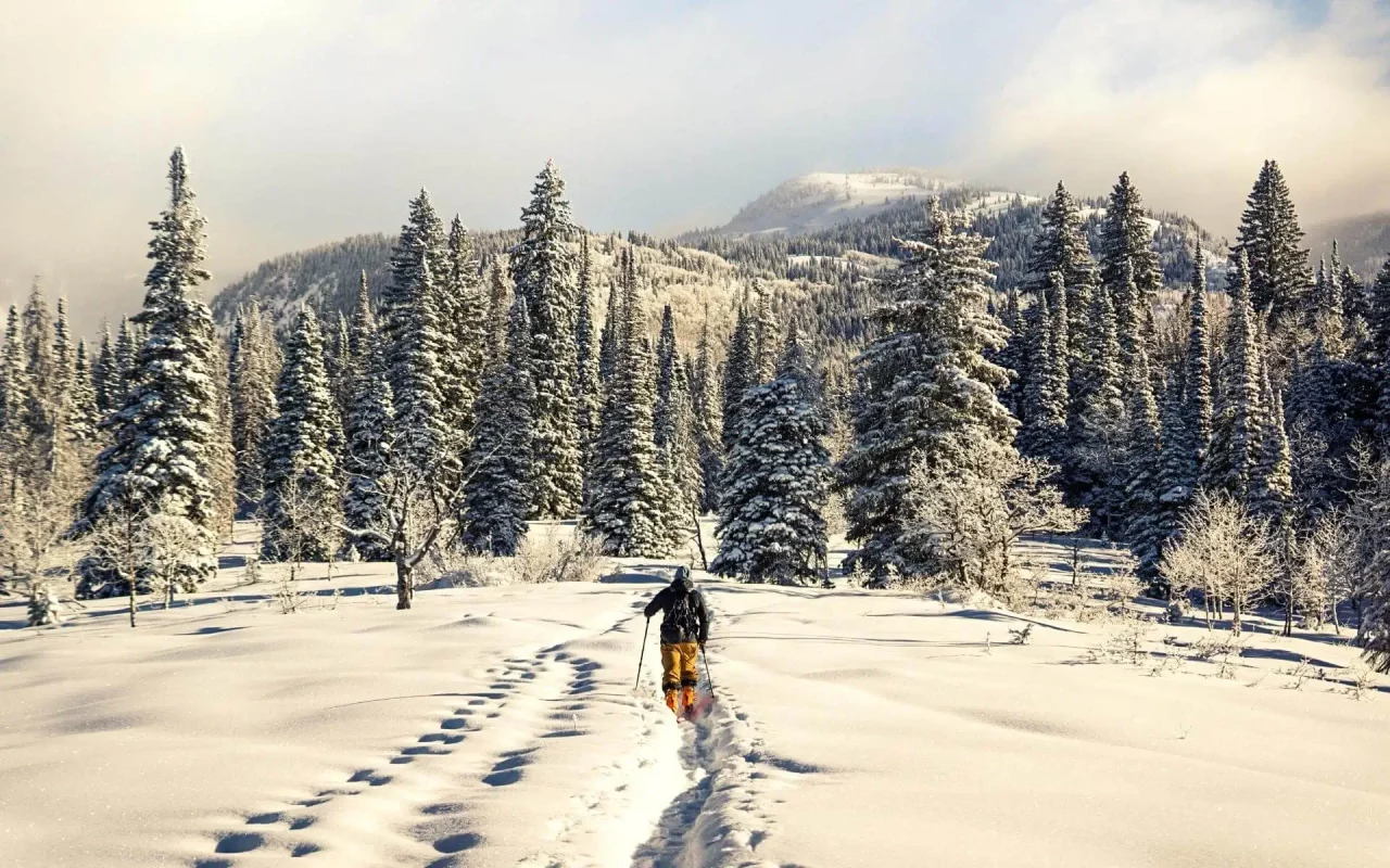 Matériel et habits - Ski de Haute Montagne - Conseils de pro - Trekalpes